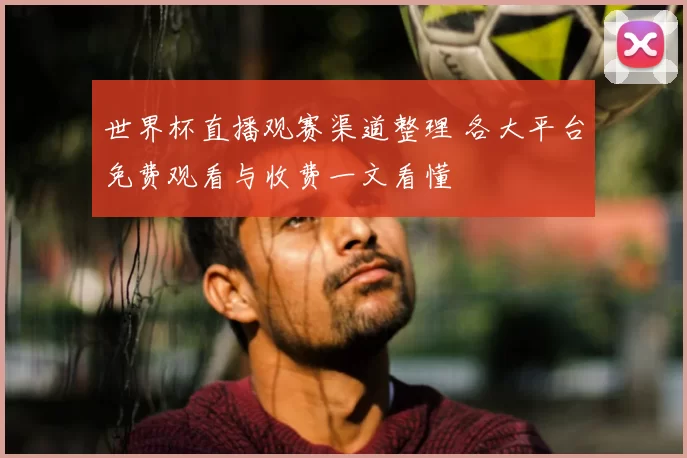 世界杯直播观赛渠道整理 各大平台免费观看与收费一文看懂